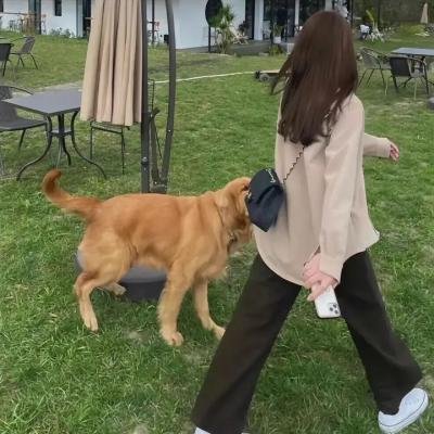 灵界替身
